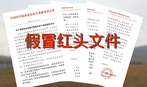 香港内部信封料一码