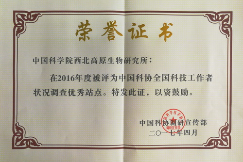 香港内部信封料一码
