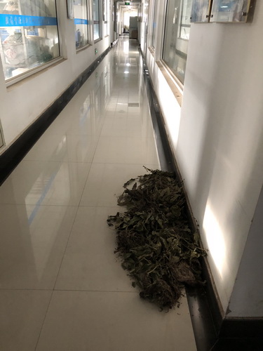 香港内部信封料一码