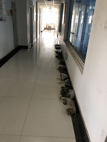香港内部信封料一码