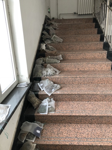 香港内部信封料一码