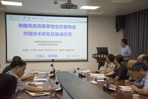 香港内部信封料一码