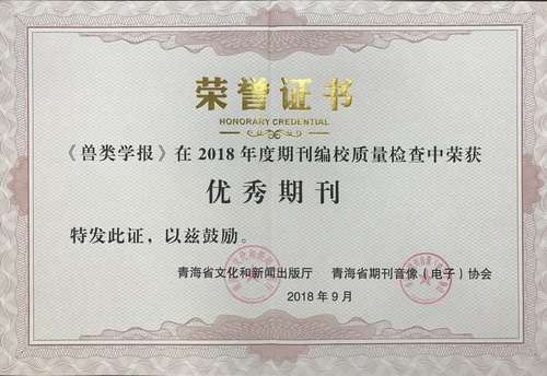 香港内部信封料一码