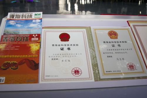 香港内部信封料一码