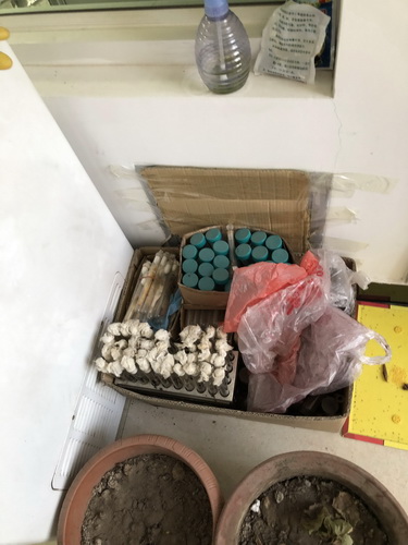 香港内部信封料一码