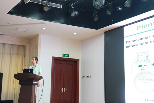香港内部信封料一码