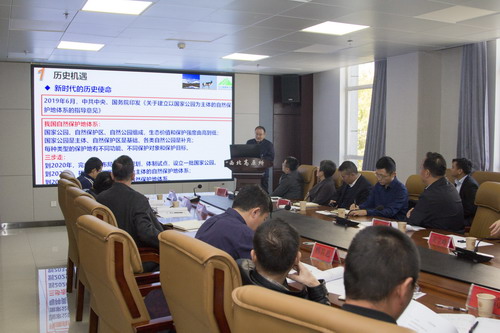 香港内部信封料一码