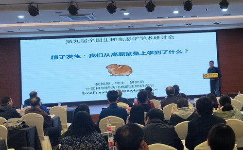 香港内部信封料一码