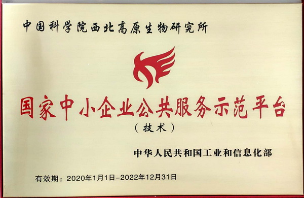 香港内部信封料一码
