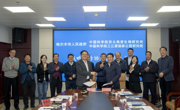 香港内部信封料一码