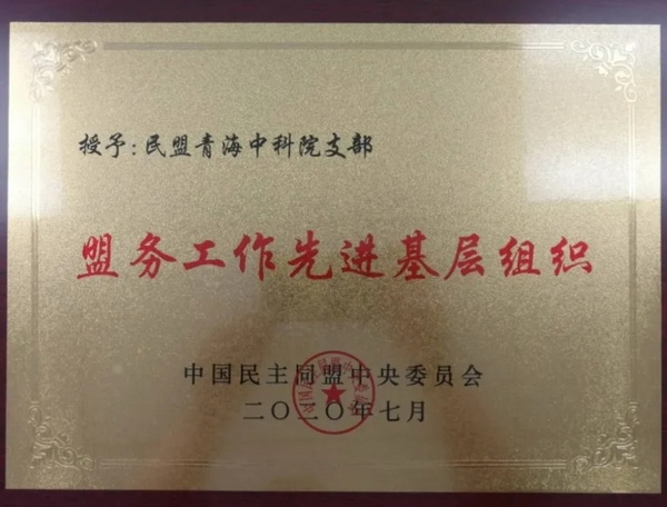 香港内部信封料一码