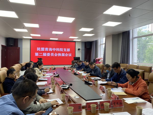 香港内部信封料一码