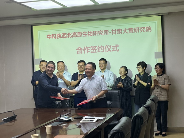香港内部信封料一码