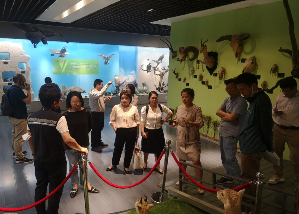 香港内部信封料一码