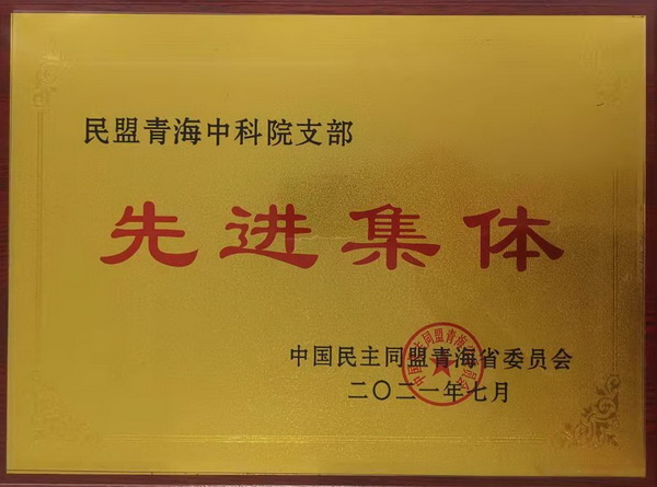 香港内部信封料一码