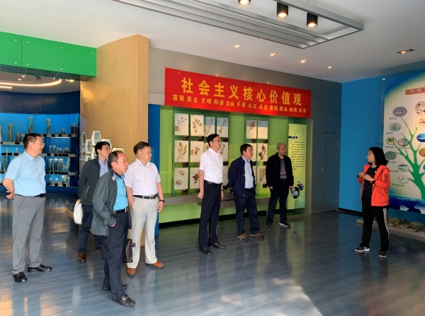 香港内部信封料一码