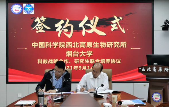 香港内部信封料一码