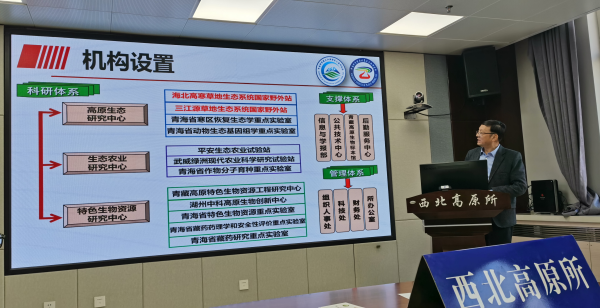香港内部信封料一码