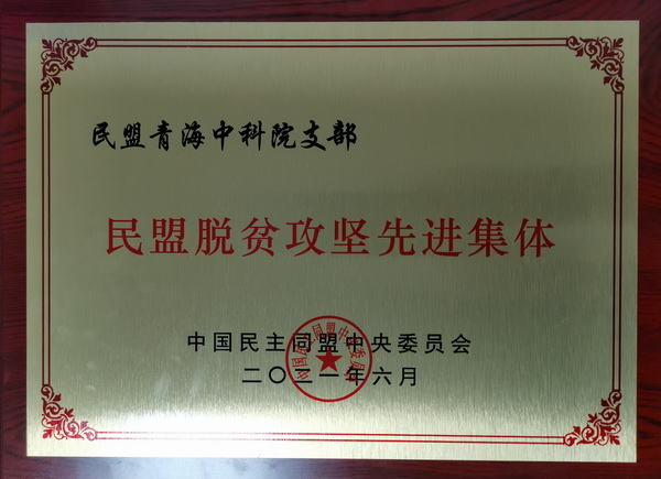 香港内部信封料一码