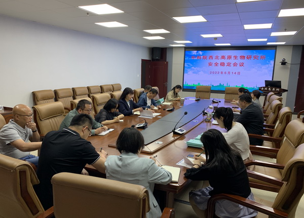 香港内部信封料一码