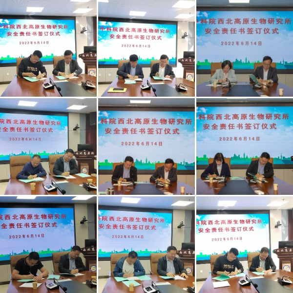 香港内部信封料一码