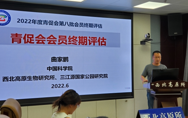 香港内部信封料一码