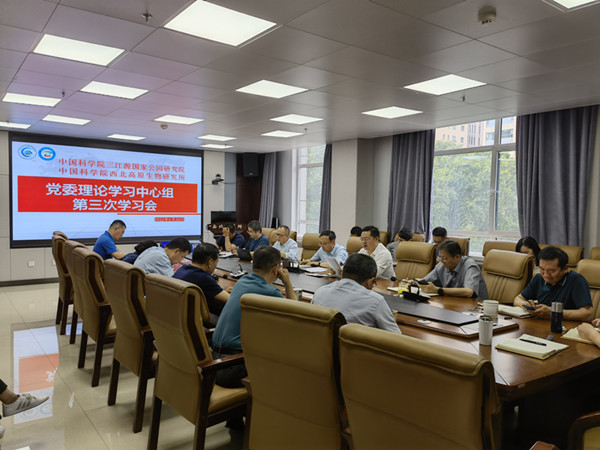 香港内部信封料一码