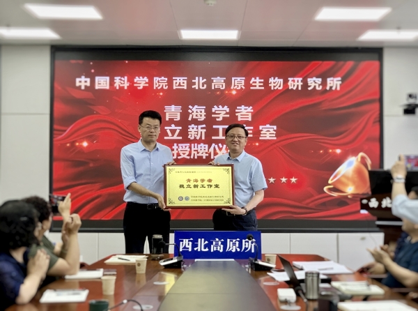 香港内部信封料一码