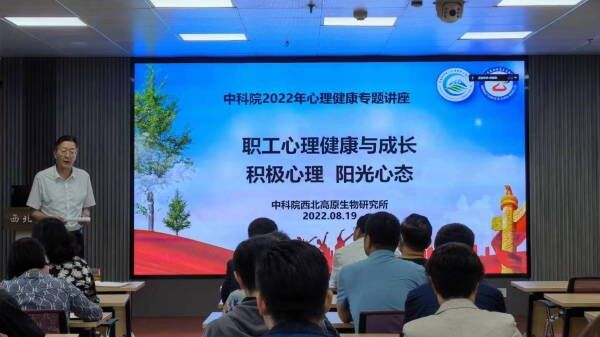 香港内部信封料一码