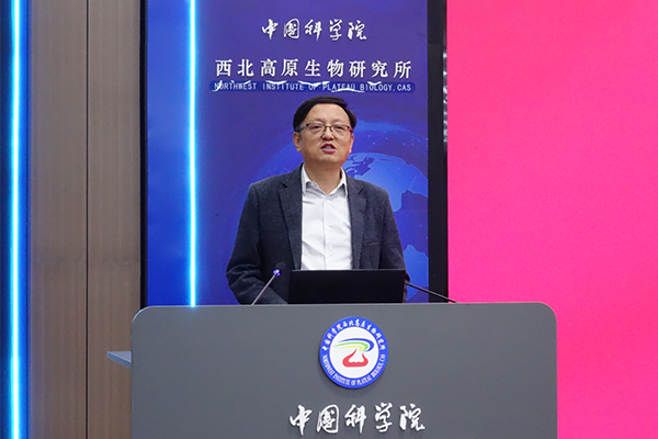香港内部信封料一码