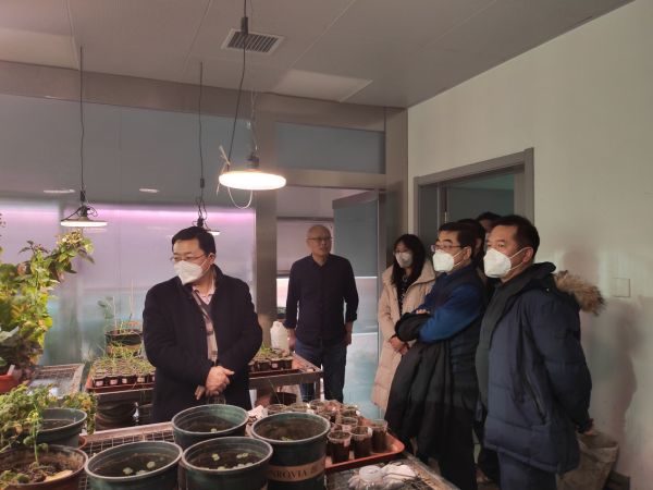 香港内部信封料一码