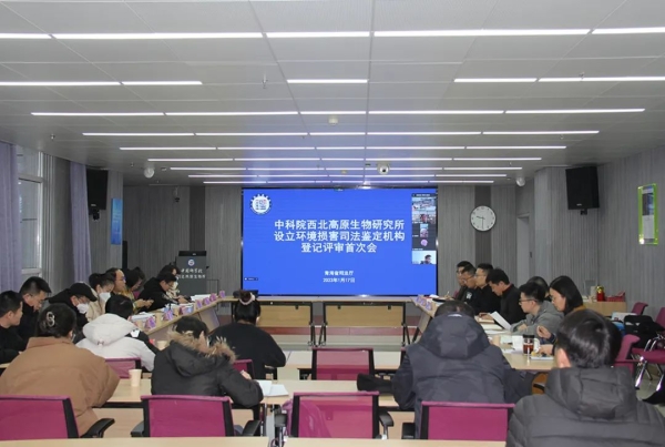 香港内部信封料一码