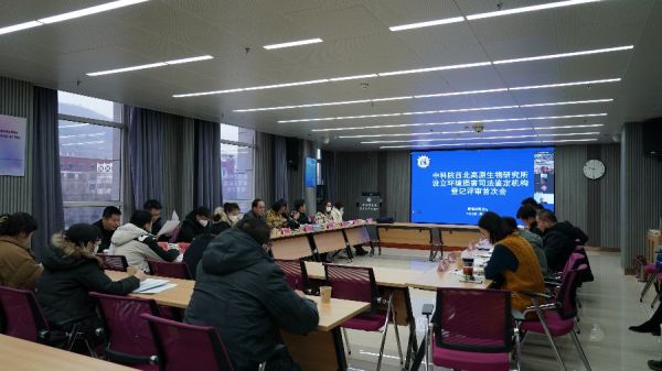 香港内部信封料一码