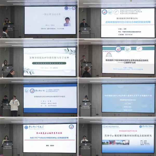 香港内部信封料一码