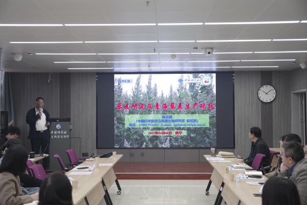 香港内部信封料一码