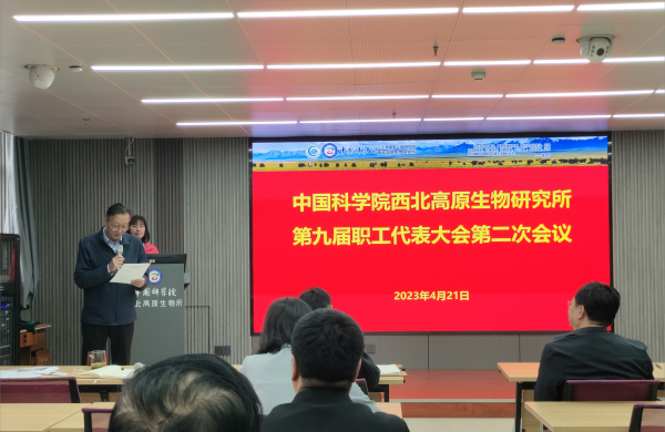 香港内部信封料一码