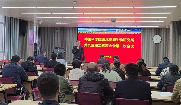香港内部信封料一码