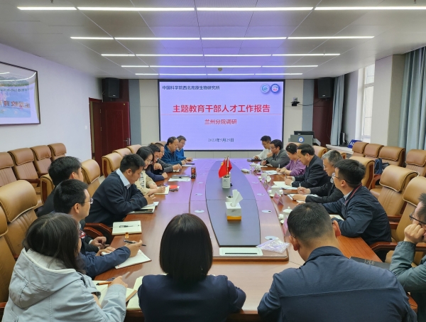 香港内部信封料一码