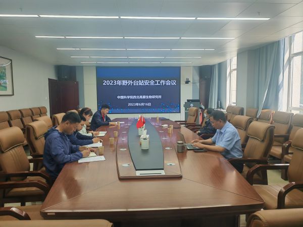 香港内部信封料一码