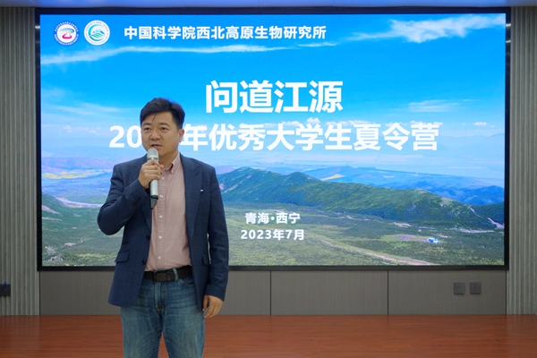 香港内部信封料一码