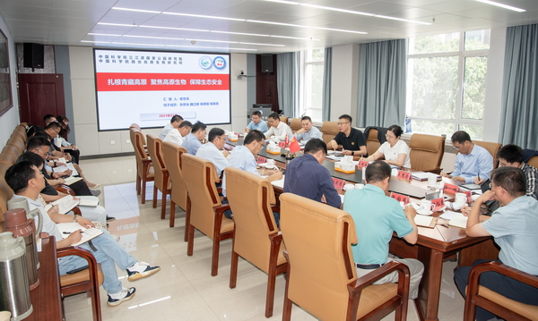 香港内部信封料一码