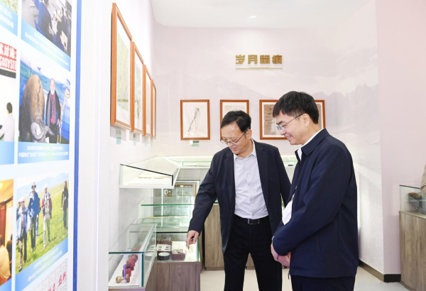 香港内部信封料一码