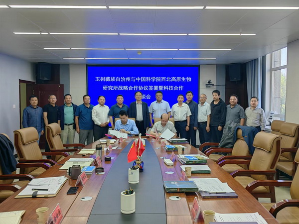 香港内部信封料一码
