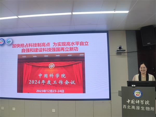 香港内部信封料一码