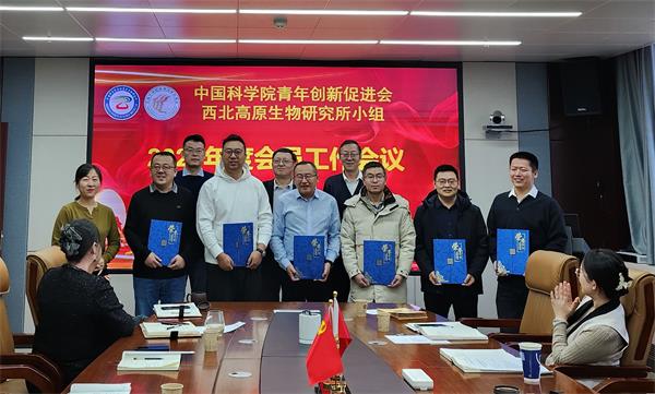 香港内部信封料一码