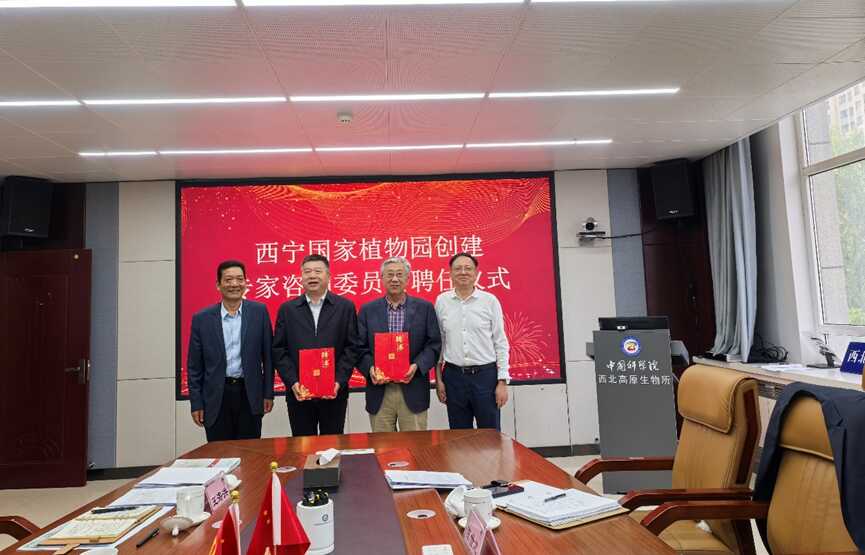 香港内部信封料一码