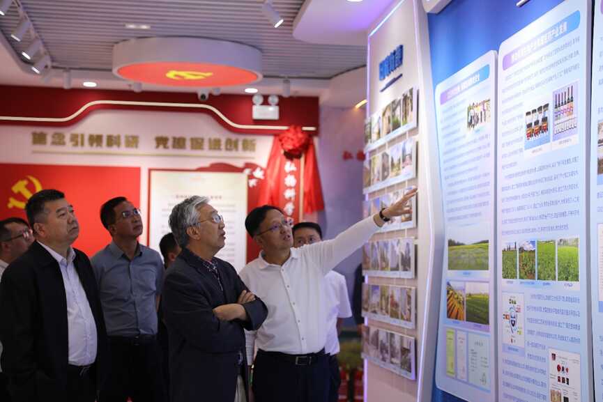 香港内部信封料一码