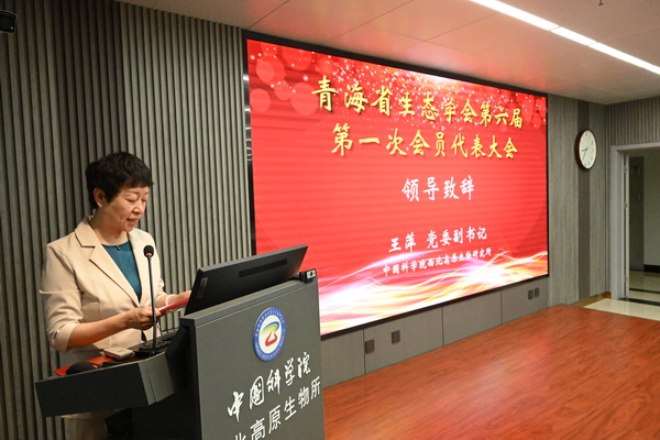 香港内部信封料一码