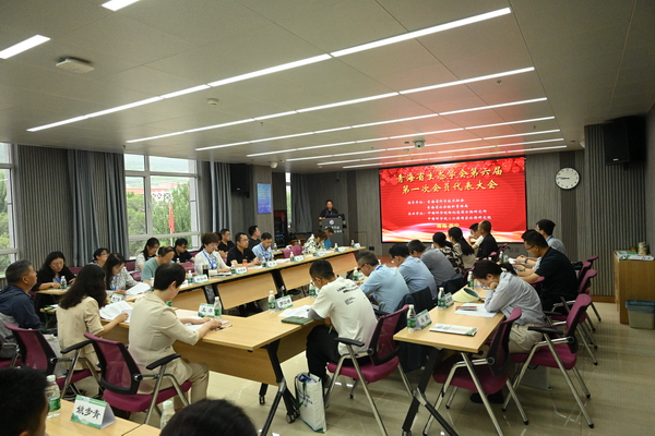 香港内部信封料一码