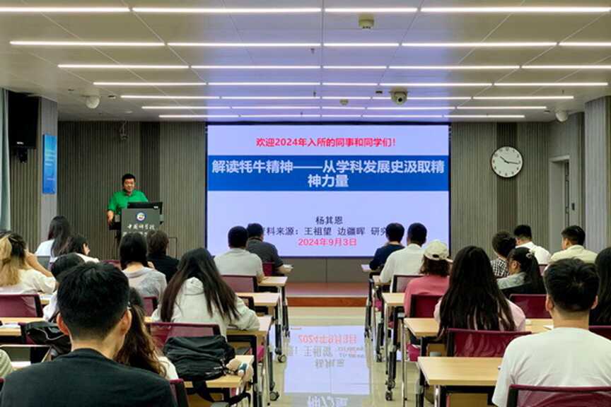 香港内部信封料一码